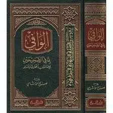 الوافي بما في الصحيحين - دار القلم