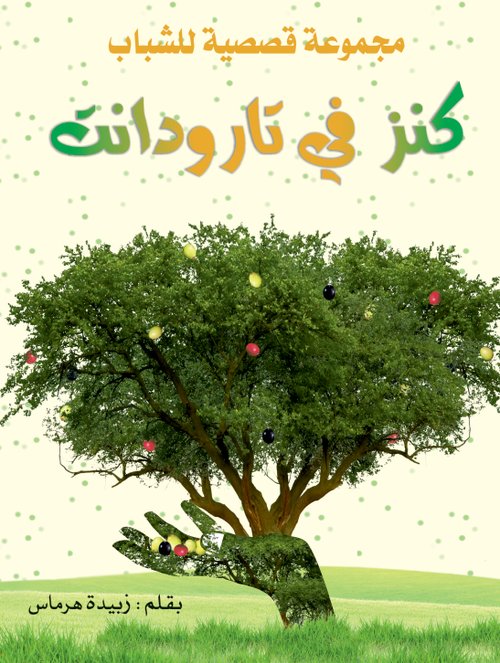 كنز في تارودانت : دار السلمي الحديثة
